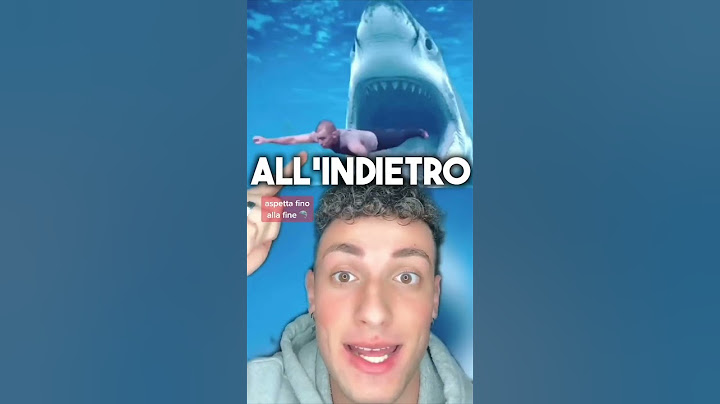 Come SOPRAVVIVERE All’Attacco Dello Squalo 🦈