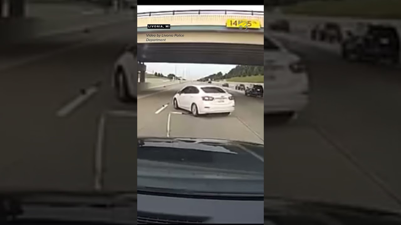 WATCH THIS: Axel rips off car after Livonia police use high-strength net to stop stolen vehicle