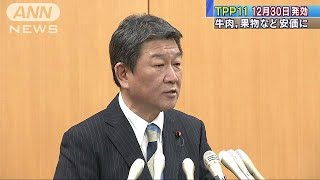 「TPP11」12月30日発効　牛肉などの値下げに期待(18/10/31)