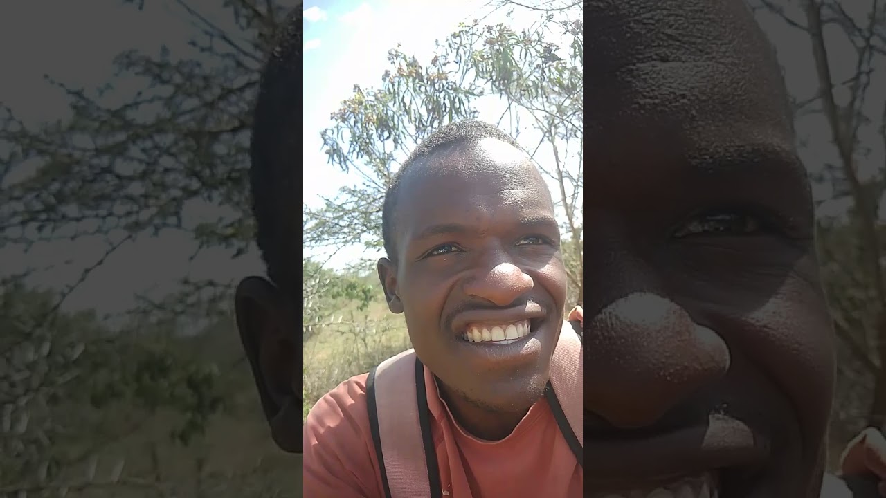 Reason why some have more than you but they are envious 