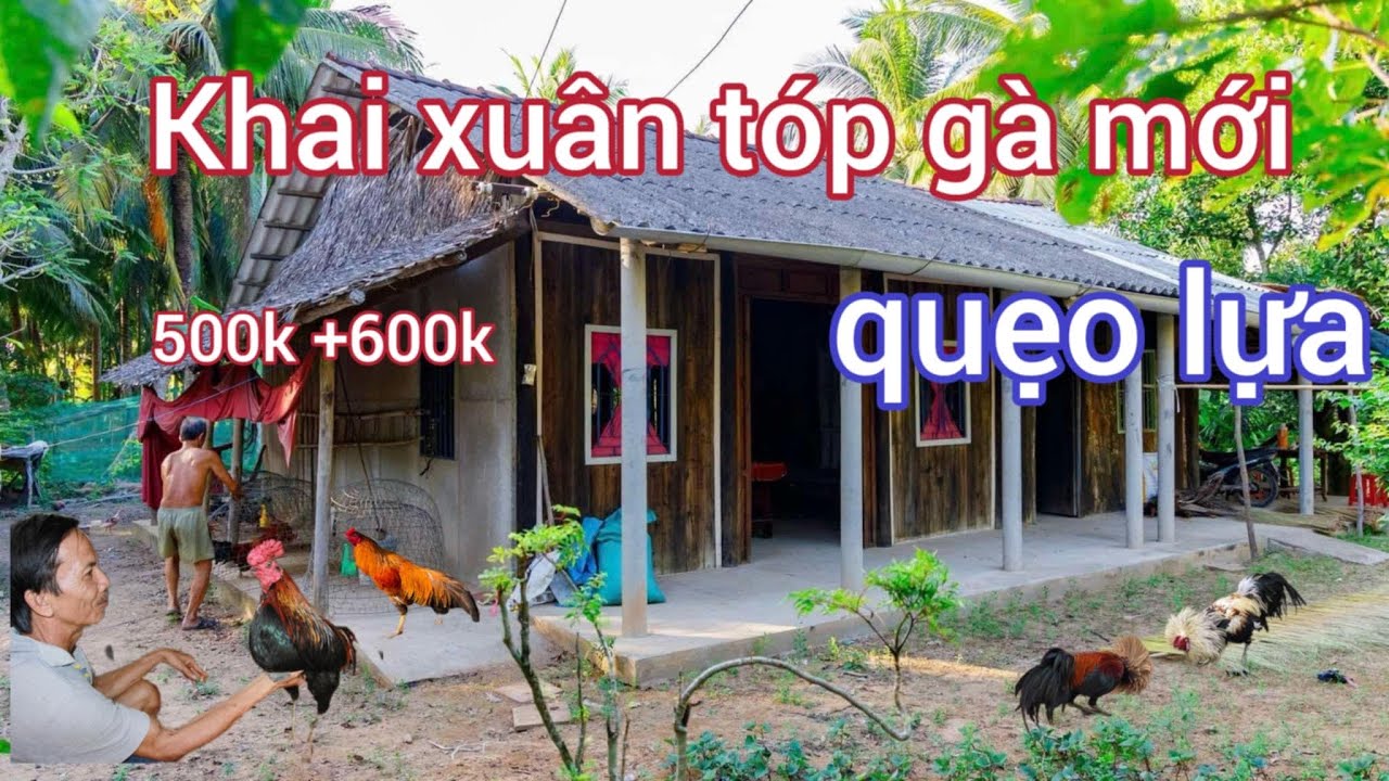 Khai Xuân Khuyến Mãi Tóp Gà Mới,Và Xem Khu Resort Quá Đã