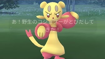 コジョフー Youtube