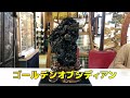 【風水 水晶 広島の廣友】ゴールデンオブシディアン特大双龍のご紹介