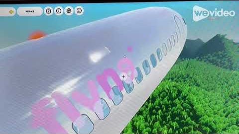 This plane crash simulator is so realistic!