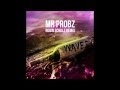 Mr  probz  waves robin schulz radio edit