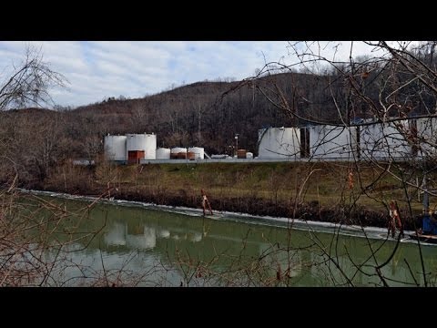 Video: Hvor finnes det kalkholdig søl på havbunnen?