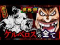 【ワンピースドロピザ】ケルベロスの全てです。34
