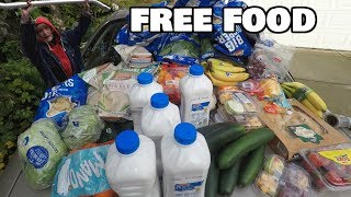 Dumpster Diving Aldi's Food Score