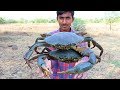 BIG GREEN SEA CRAB FIRE FRY AN AMAZING RANGERS RECIPE || HOW TO MAKE HEALTHY CRABS FRYING IN JUNGLE