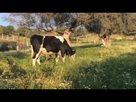 Ailemizle Bayramdan Bahçemizde Çokta Güzel bir Anı