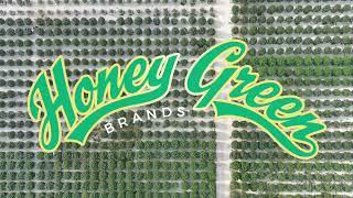 Visit Honey Green: the Largest Outdoor Cannabis Farm in Missouri