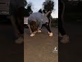 نورمان ابليك انا كثير حبيت يا ما شفته يا ما هويت