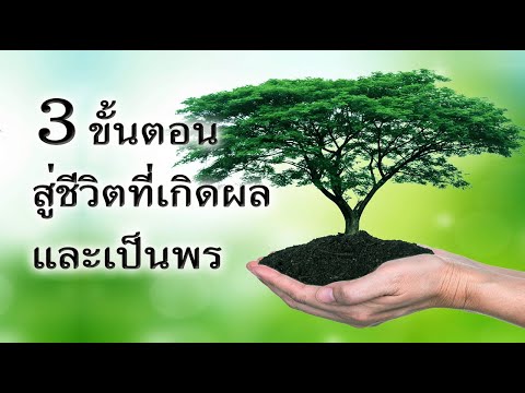 วีดีโอ: จะนำเสนอในชีวิตของคุณได้อย่างไร?