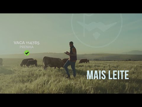 Filme Institucional Mais Leite