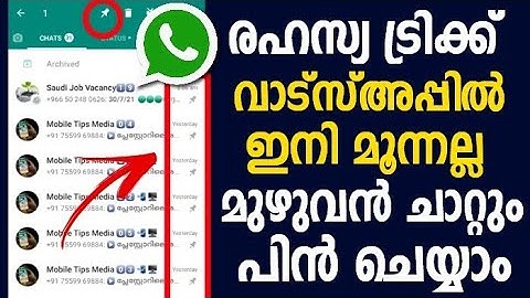 വാട്സ്അപ്പില്‍ ഇനി കൂടുതല്‍ ചാറ്റുകള്‍ പിന്‍ ചെയ്യാം | Whatsapp Chat Pin More than Three Malayalam