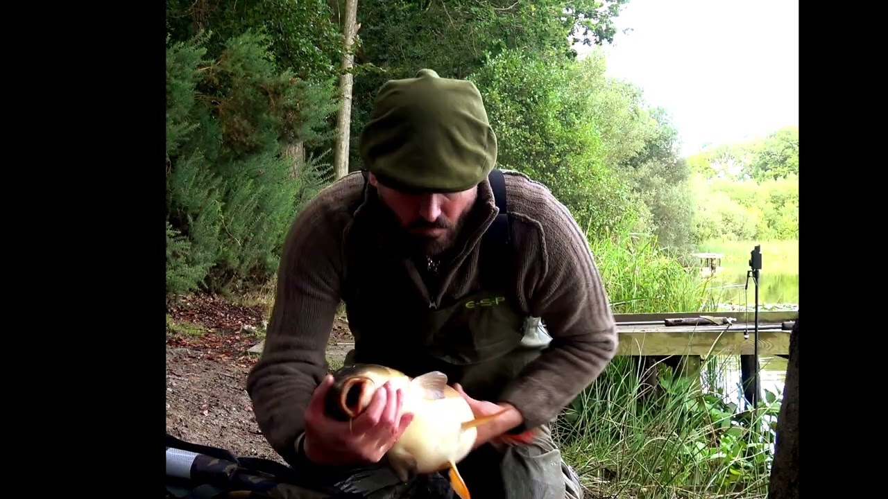 A gorgeous near leather Carp , Scott Edwards, E.C.U Edwards Custom Upgrades .