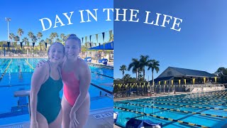Day In The Life Of A Competitive Swimmer