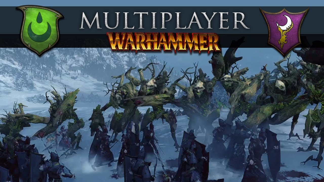 Wood Elves vs Dark Elves (Total War Warhammer Online Battle 280
