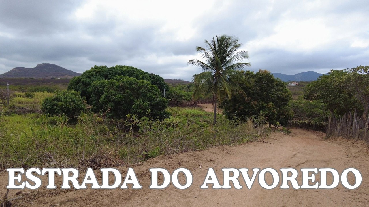 TESOUROS REVELADOS NESSA ESTRADA DO ARVOREDO - CATUNDA CEARÁ