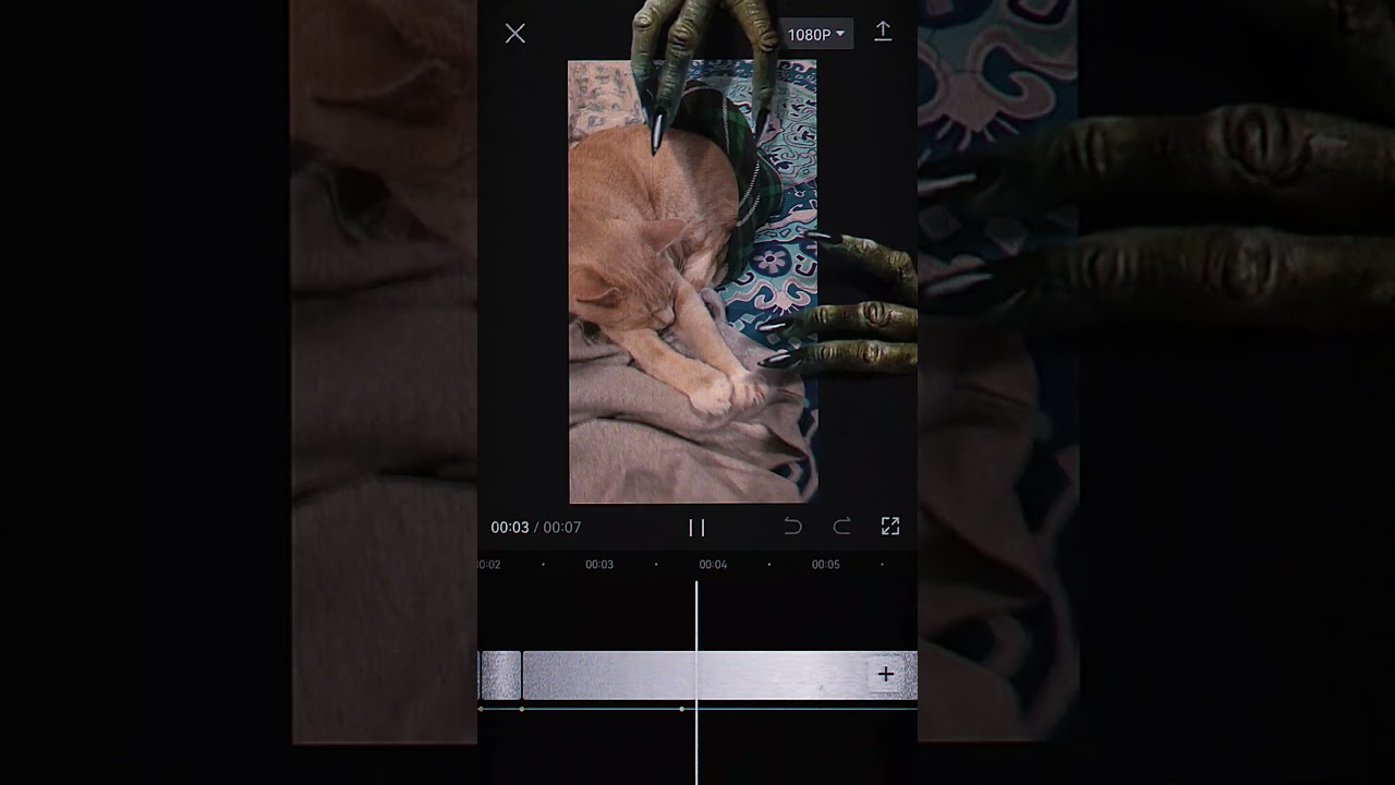 Pennywise took my cat while I was trying to make a video 