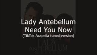 Need You Now Tiktok Acapella version | FeelMe