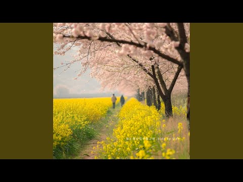 サクラ散りゆく、その側に。 春、桜と菜の花のそばを通る-Nearby - YouTube