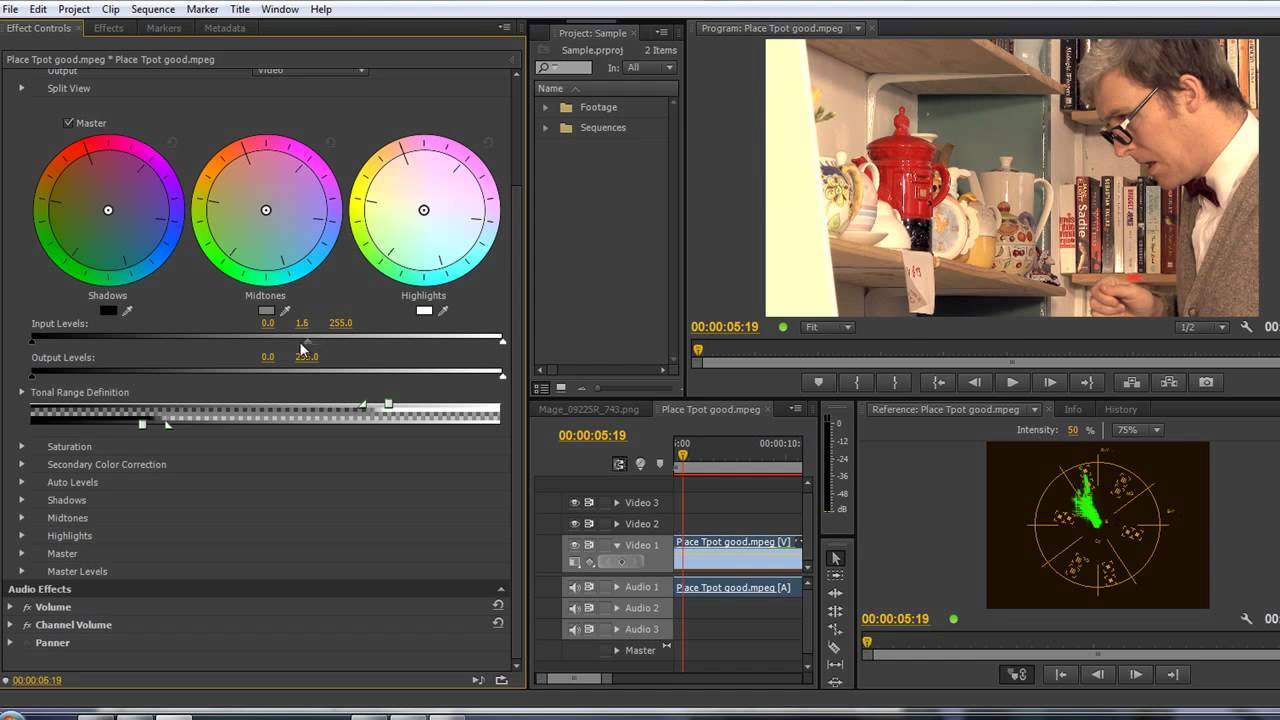 13+ Coloring video in adobe premiere information