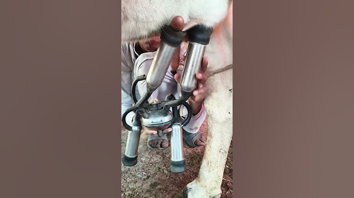 #pets #cow #dairy #dairyfarming #cows #farming #dairyindustry #shortsvideo #dairyfarm #milk #shorts