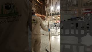 VID 20240129 044426098