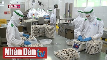 Việt Nam sẽ trở thành điểm đầu tư trong chuỗi cung ứng toàn cầu