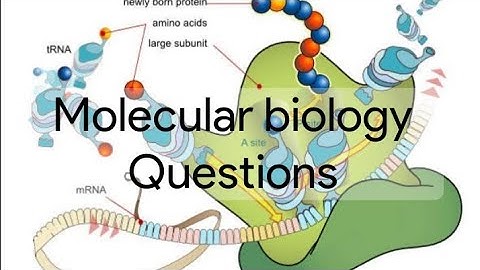 | KU  BSc Botany questions  ( Sem 6 ) Molecular biology | Requested video |