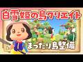【あつ森】まったり住民さんと遊んだり島整備やベル稼ぎをするライブ【あつまれどうぶつの森】