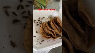 Roach tacos