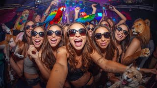 DJ Monkey Money / SEYKRONE - Just Explore 