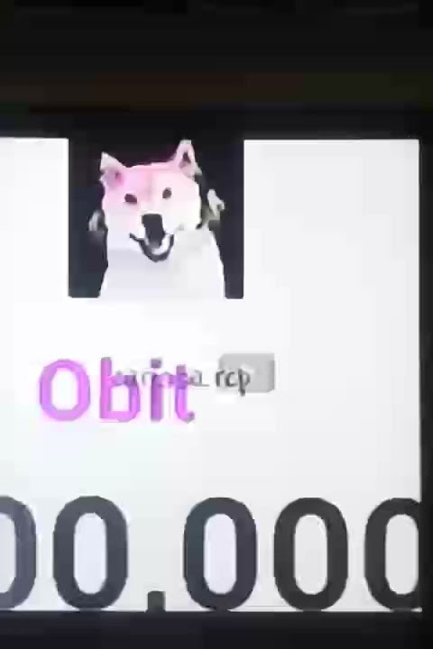 cpp obit si anjing lucu jangan lupa subscribe chanel nya obit dan aku juga terima kasih