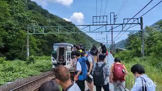 [鉄道pv]E257系×ライオン[マクロスF]