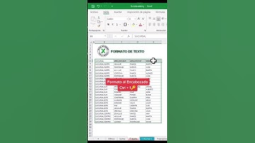Aprende a Usar el Formato de Texto en Excel y Mejora la Presentación de Tus Datos.