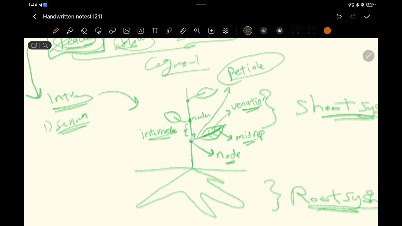 Cogno-1 lecture 1 (250 SU)