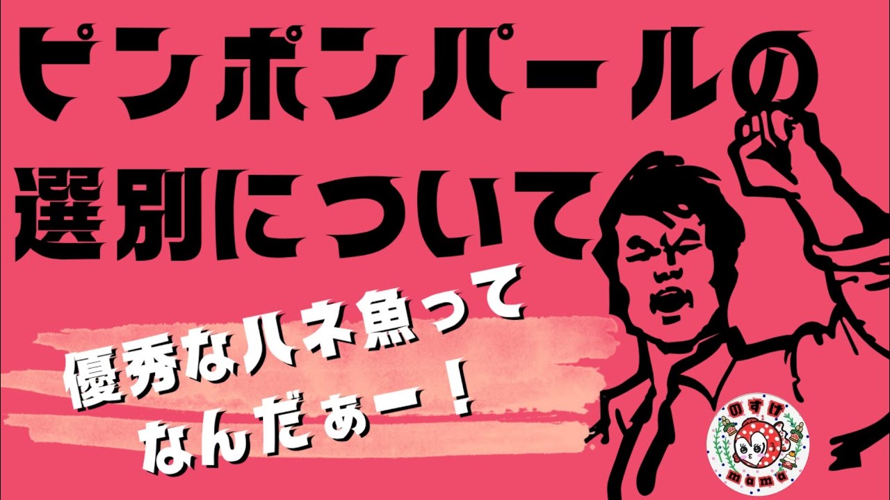【ピンポンパールの選別について】〜選別で大切な事って何？〜