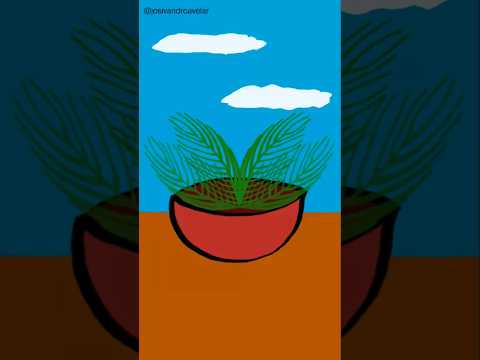 #criatividade - vaso de planta