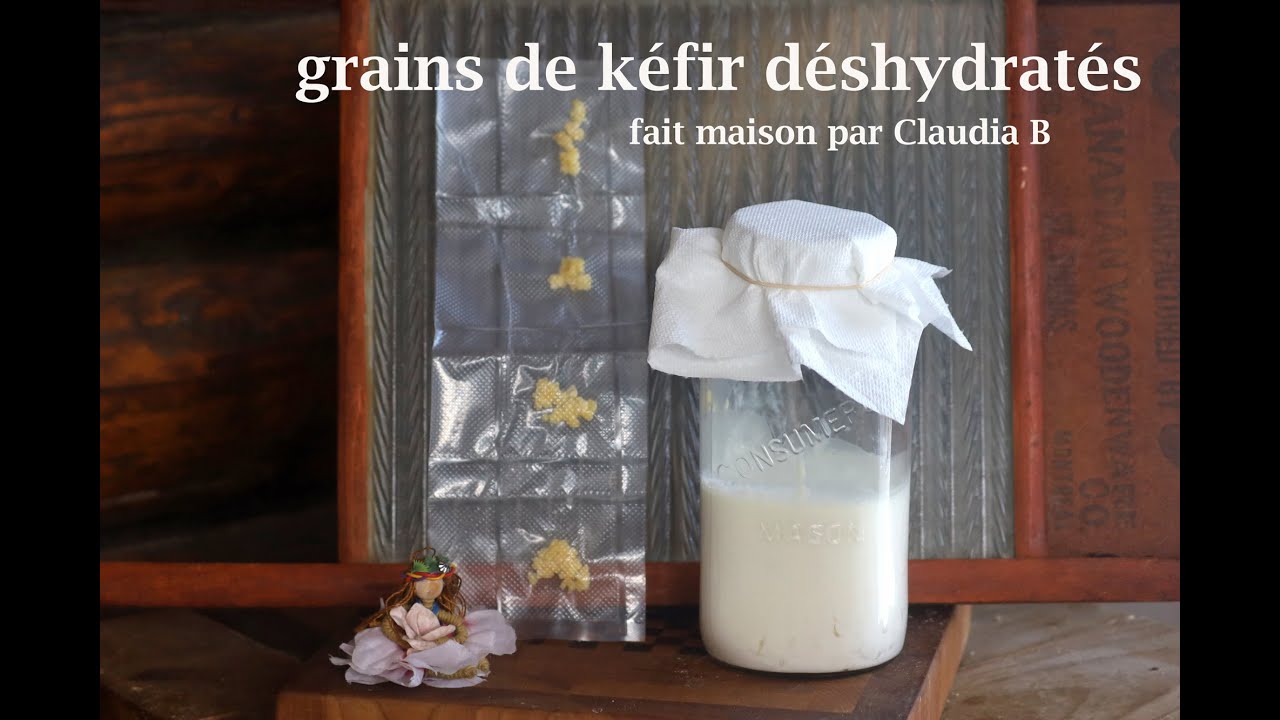 Comment activer ses grains de kéfir de lait déshydratés 