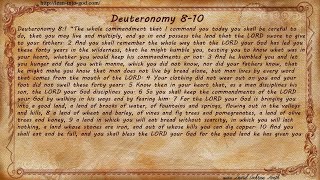Deuteronomy 8-10
