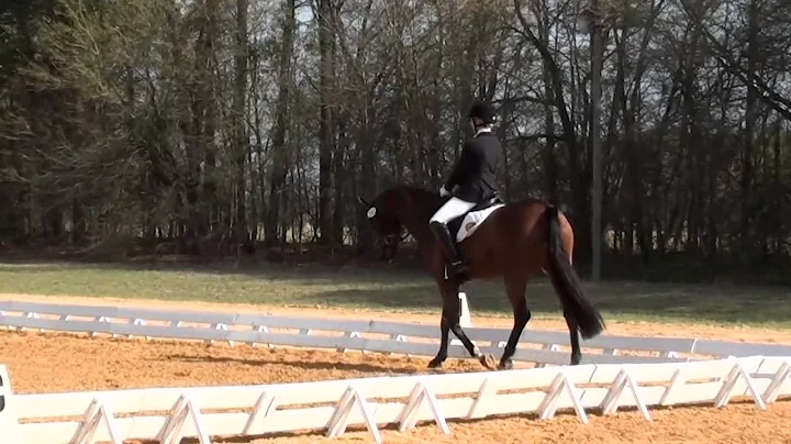 Susan Beebee & Wolf Southern Pines II Dressage Mar...