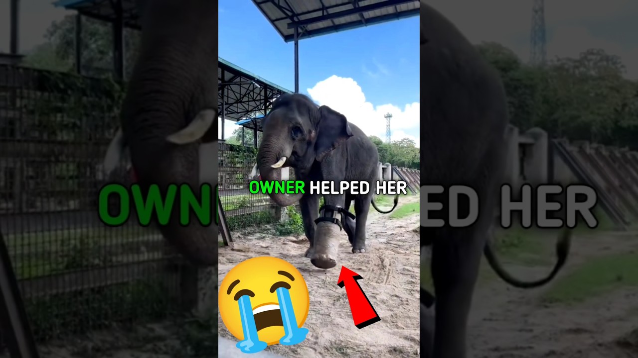 #нетрекламы