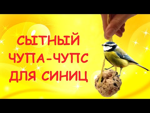 Лакомство для синиц своими руками/Отличный способ подкормки птиц в мороз