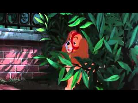 Lady and the Tramp  Getting Into The Zoo HD