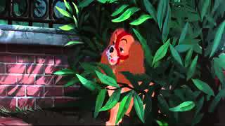 Lady And The Tramp Getting Into The Zoo Hd