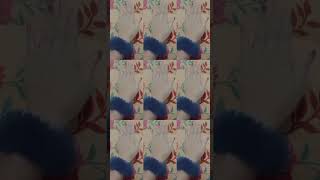 ziddi Hu Battamiz Hu Gusse Wali sayeri status shorts