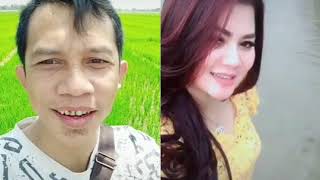 nyanyi di sawah