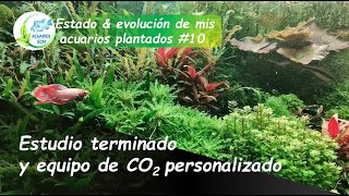 ESTADO Y EVOLUCIÓN ACUARIOS #10: PROYECTOS DE CERCA, ESTUDIO TERMINADO Y CO2 PERSONALIZADO